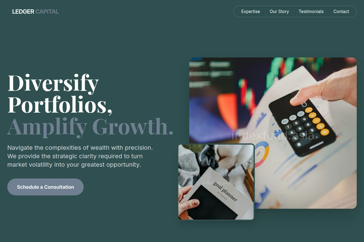 Ledger Financial Planner